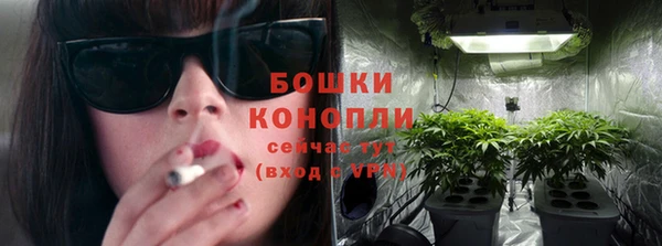 дмт Козловка