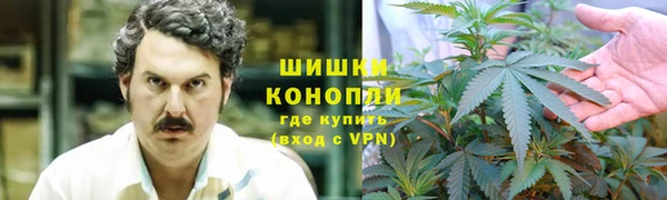 прущие грибы Корсаков