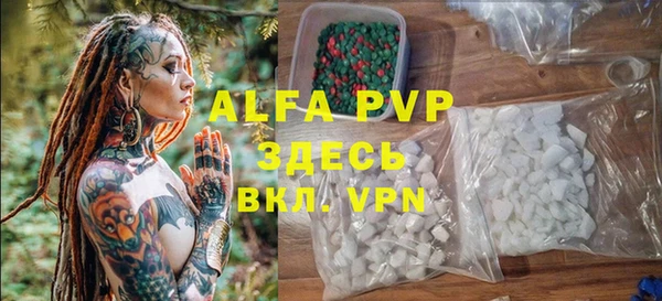 прущие грибы Корсаков