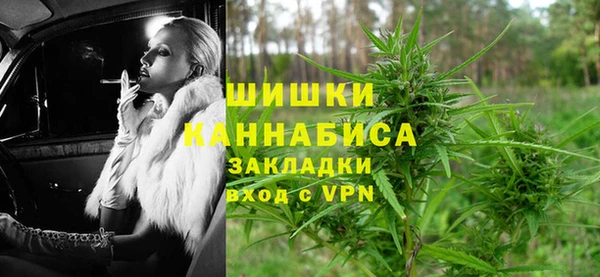 дмт Козловка