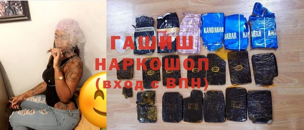 индика Гусь-Хрустальный