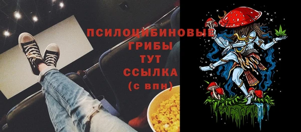 метадон Кодинск